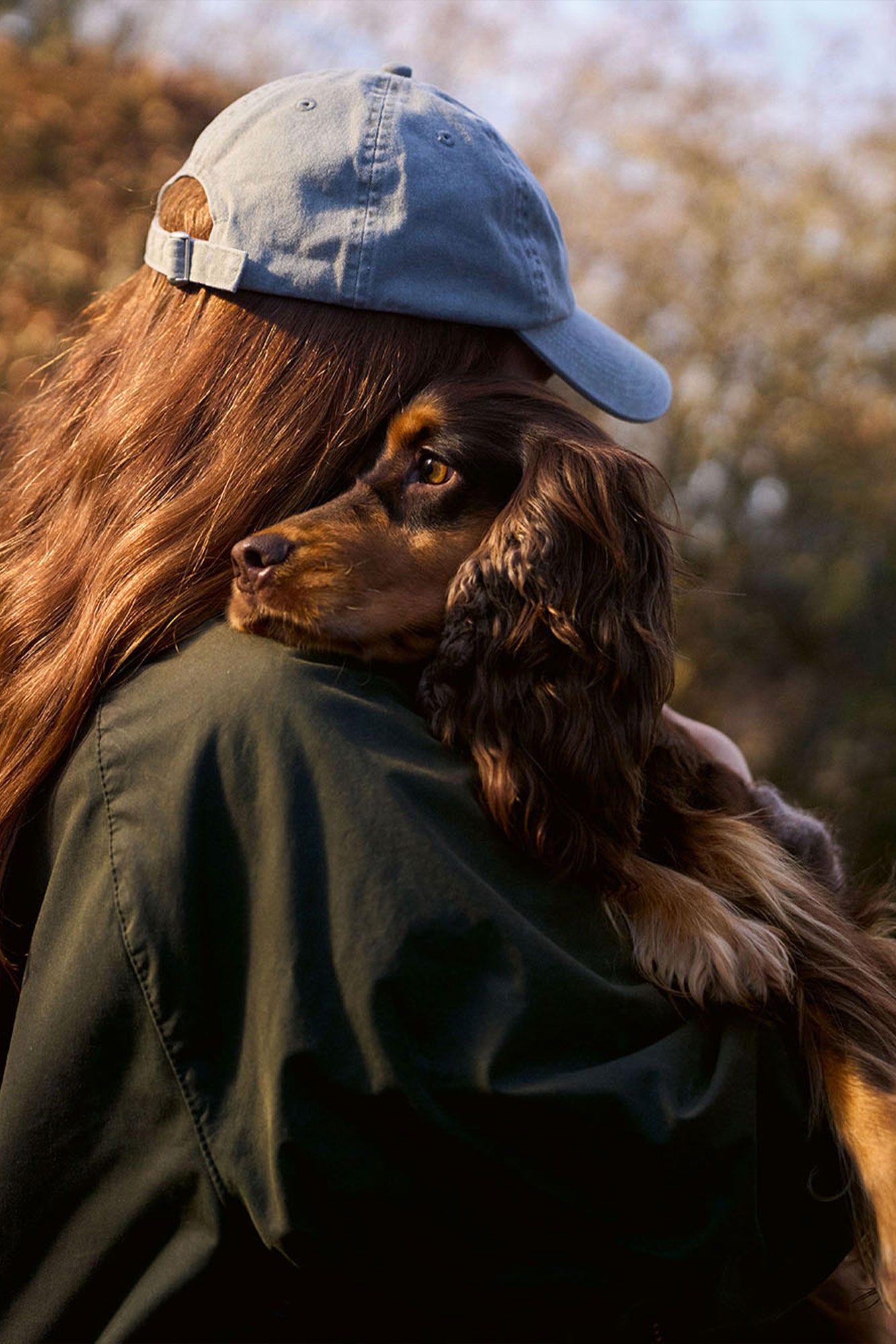 Hund Hochformat