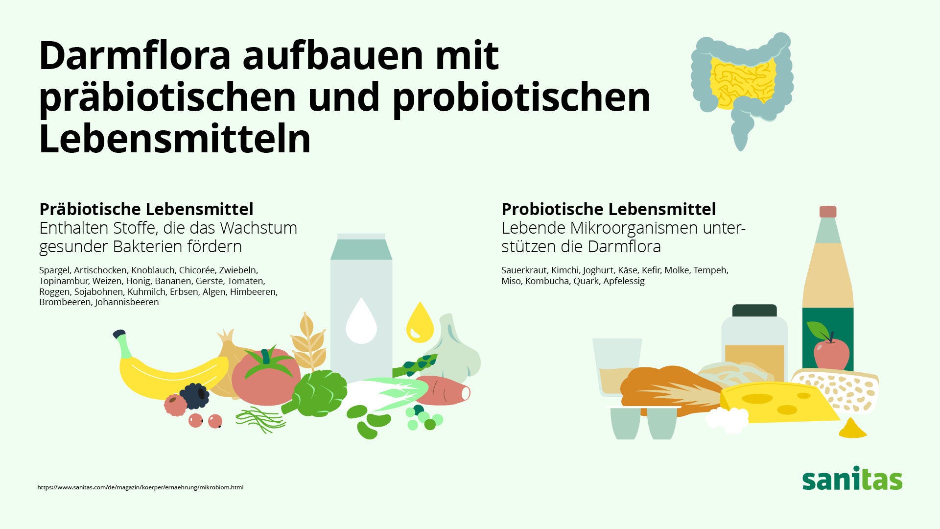 Infografik: Mit welchen prä- und probiotischen Lebensmitteln können Sie ganz einfach Ihre Darmflora aufbauen?
