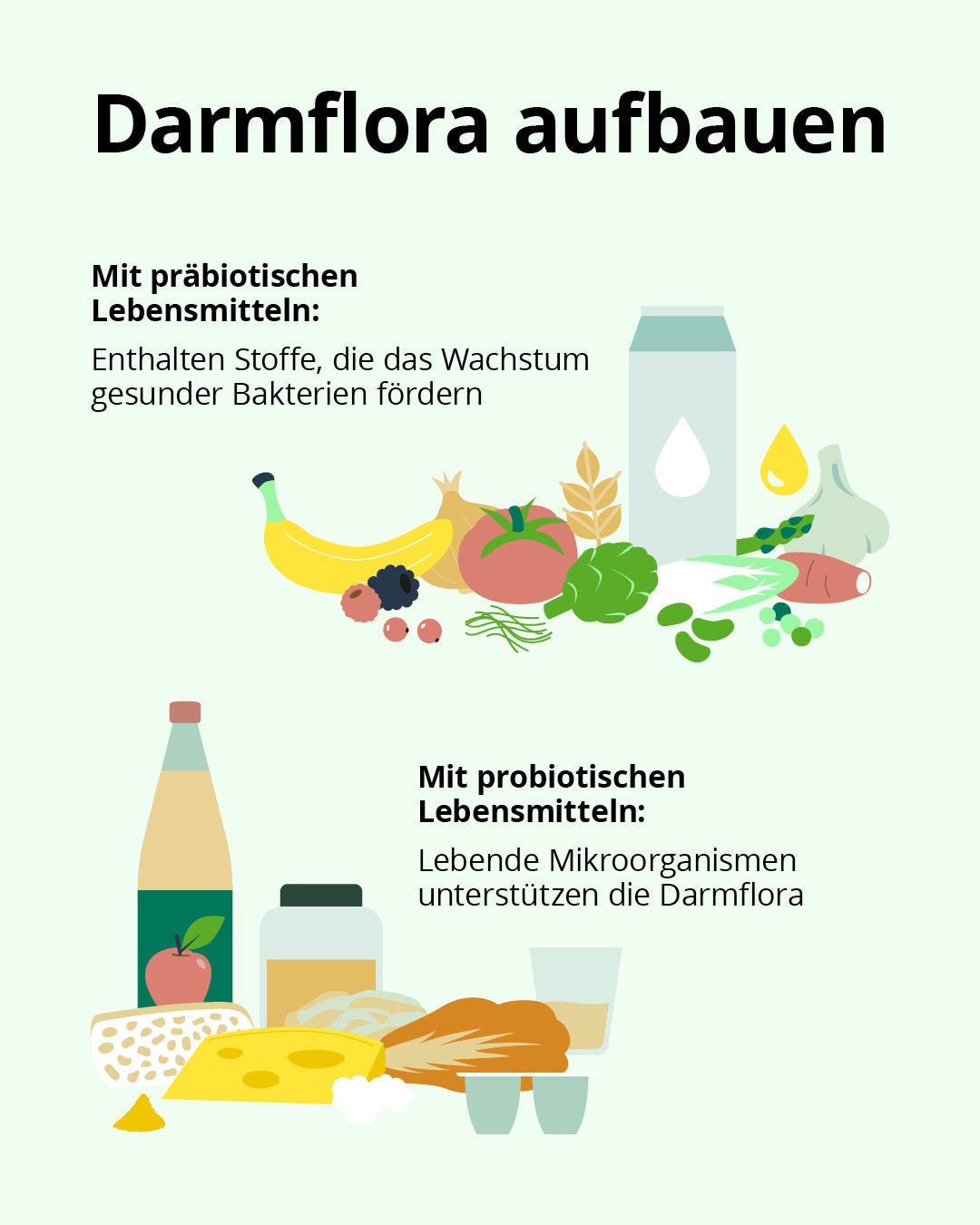 Gesundes Mikrobiom: Präbiotische und probiotische Lebensmittel helfen dabei, die Darmflora aufzubauen und gesund zu halten.