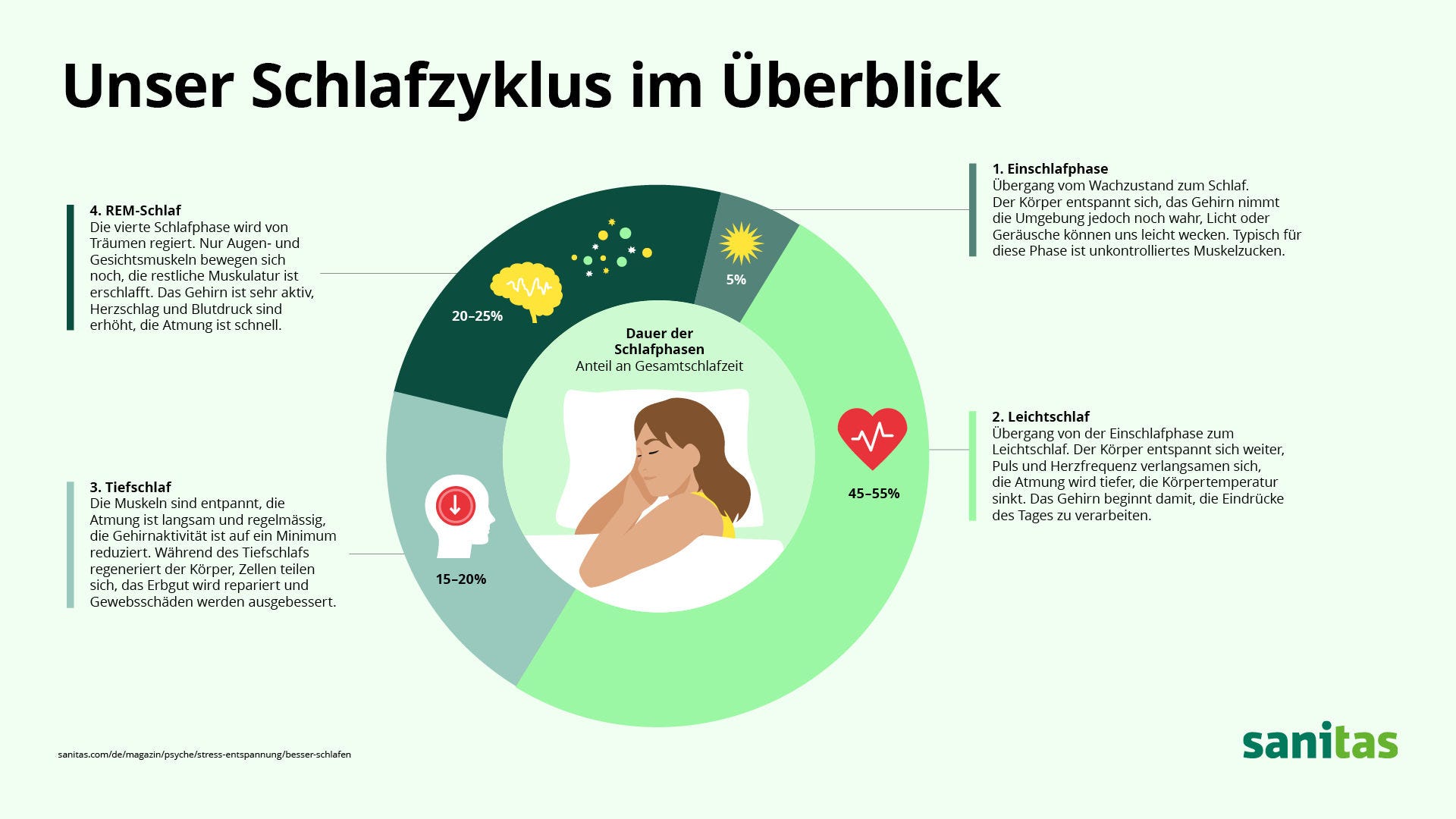 Eine Nacht besteht aus mehreren Schlafzyklen, die zwischen 90 bis 120 Minuten dauern und sich 4- bis 6-mal wiederholen. Ein Schlafzyklus wiederum besteht aus 4 Schlafphasen.