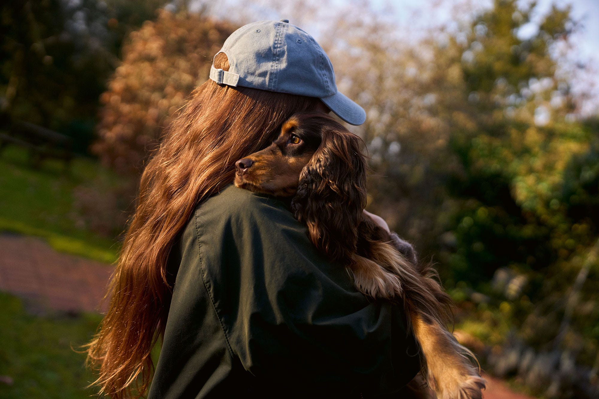 Hund Querformat